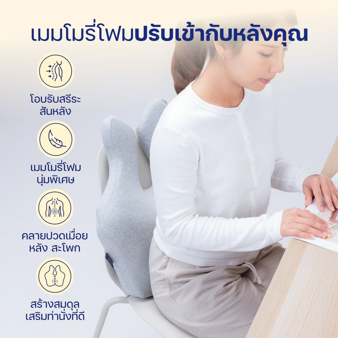 เบาะรองหลัง ERGOLAB 49X45X8 ซม. สีเทา_4